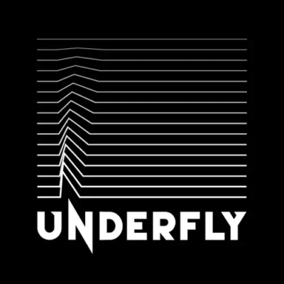Web design and graphics for Underfly music producer
